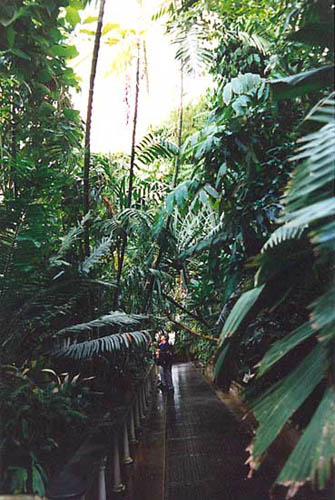 File:Botanic Gardens InteriorB.jpg