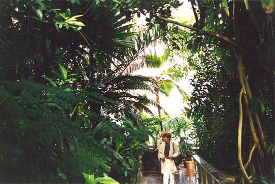 File:Botanic Gardens InteriorB04.jpg