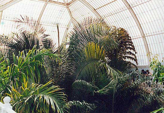 File:Botanic Gardens Interior06.jpg