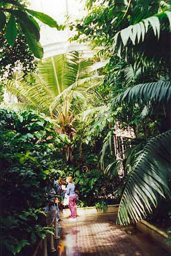File:Botanic Gardens Interior.jpg
