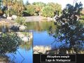 Thumbnail for version as of 08:39, 9 June 2024