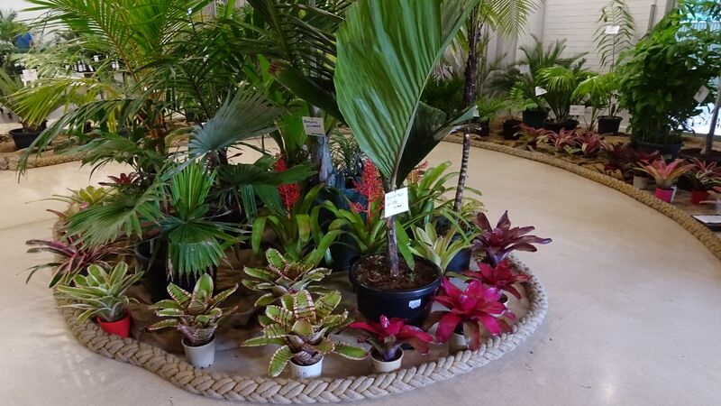 File:Pacsoa Show 3.jpg