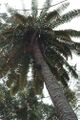 Thumbnail for version as of 14:04, 30 July 2024