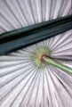 Thumbnail for version as of 09:05, 9 June 2024