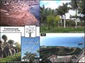Thumbnail for version as of 08:39, 9 June 2024