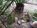 Thumbnail for version as of 09:13, 9 June 2024