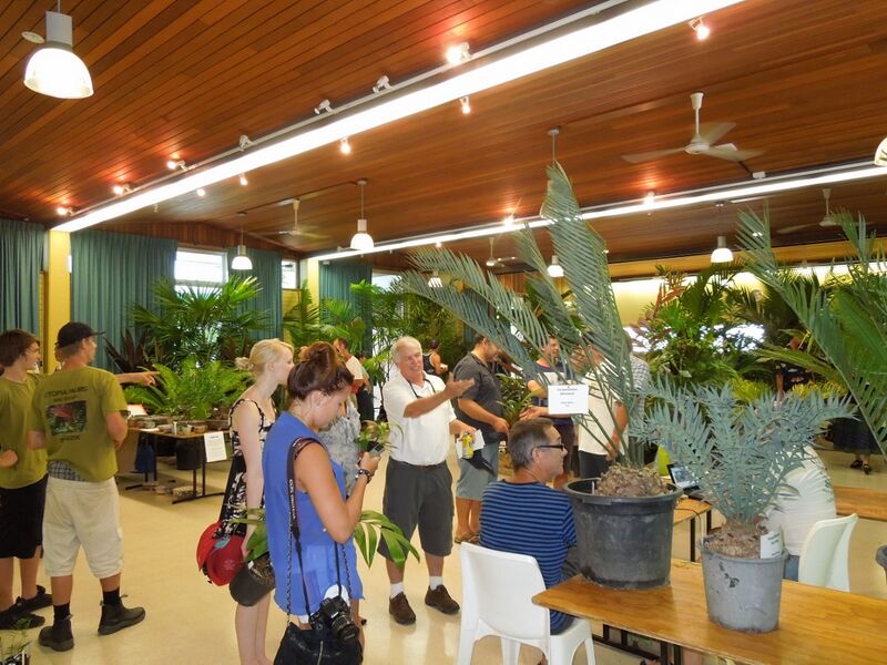 File:Pacsoa Show 4.jpg