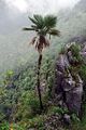 Thumbnail for version as of 12:58, 9 August 2024