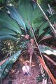 Thumbnail for version as of 03:01, 6 August 2024