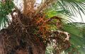 Thumbnail for version as of 09:07, 9 June 2024
