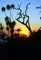 Thumbnail for version as of 09:04, 9 June 2024