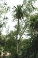Thumbnail for version as of 14:04, 30 July 2024