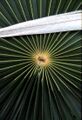 Thumbnail for version as of 09:05, 9 June 2024