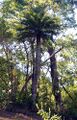 Thumbnail for version as of 09:15, 9 June 2024